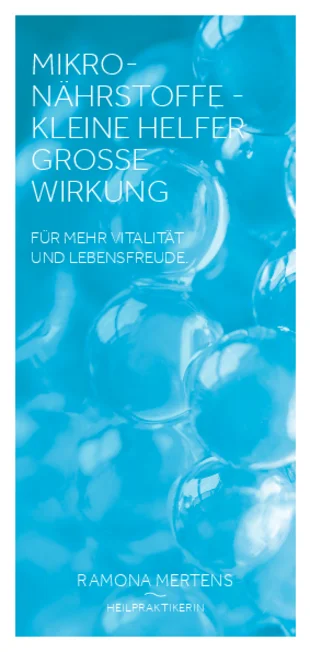Flyer Mikronährstoffe